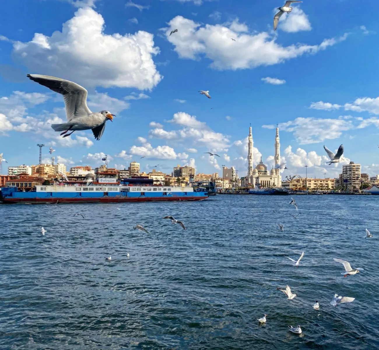 Port Said Port
