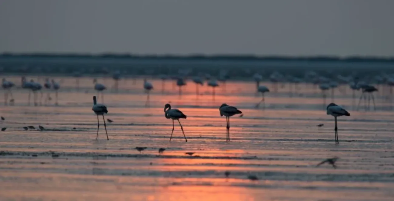 Barr Al Hikman: mare turchese e dune dorate
