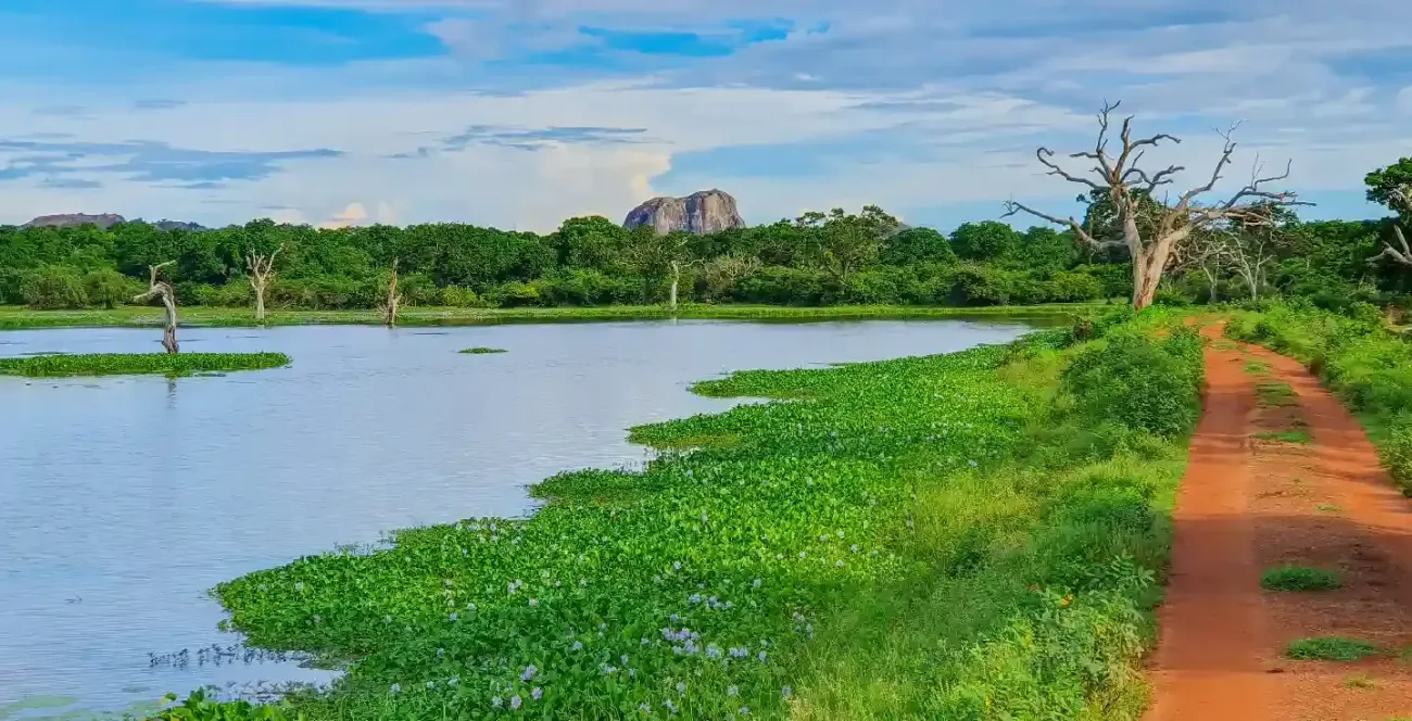 Parque Nacional de Yala