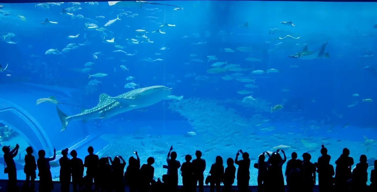 Acuario Churaumi de Okinawa
