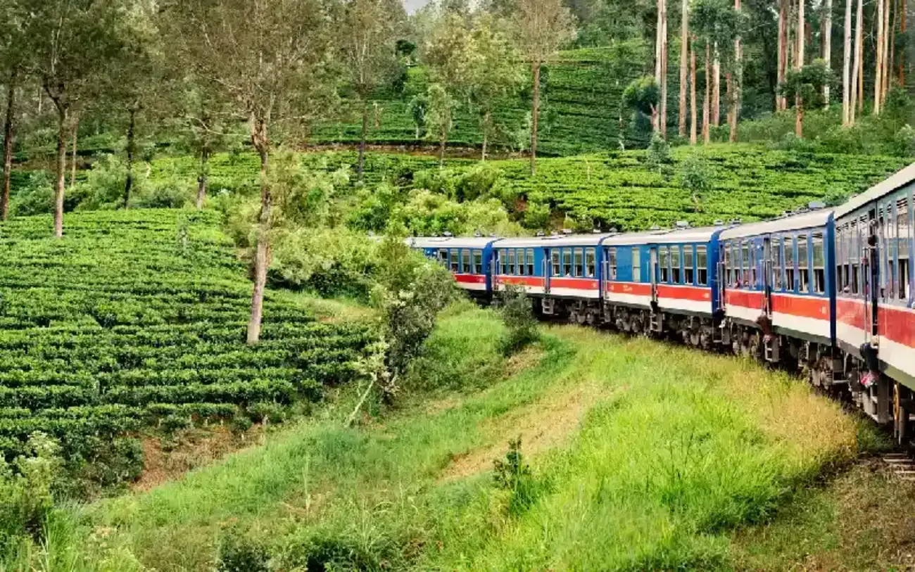 Nuwara Eliya: La Piccola Inghilterra dello Sri Lanka