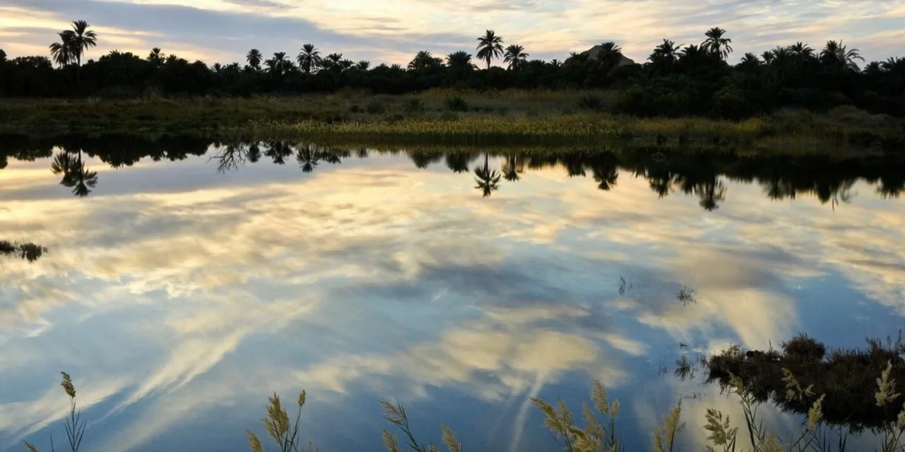 Guide Pratique de l'Oasis de Siwa: Tout Ce Qu'il Faut Savoir