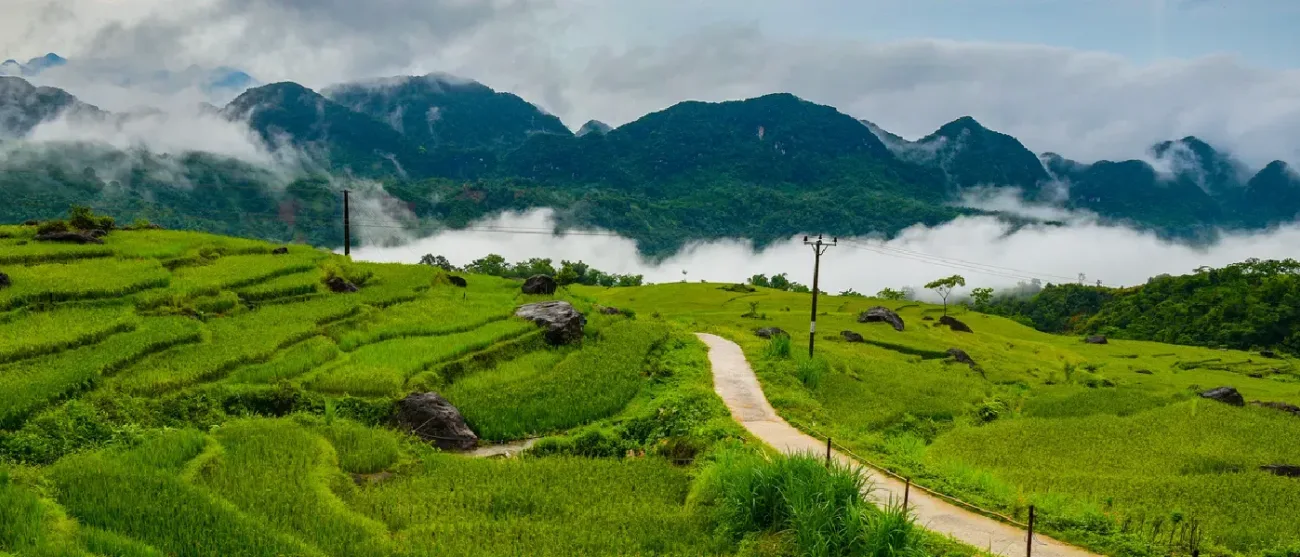 Pu Luong Nature Reserve: Complete Travel Guide