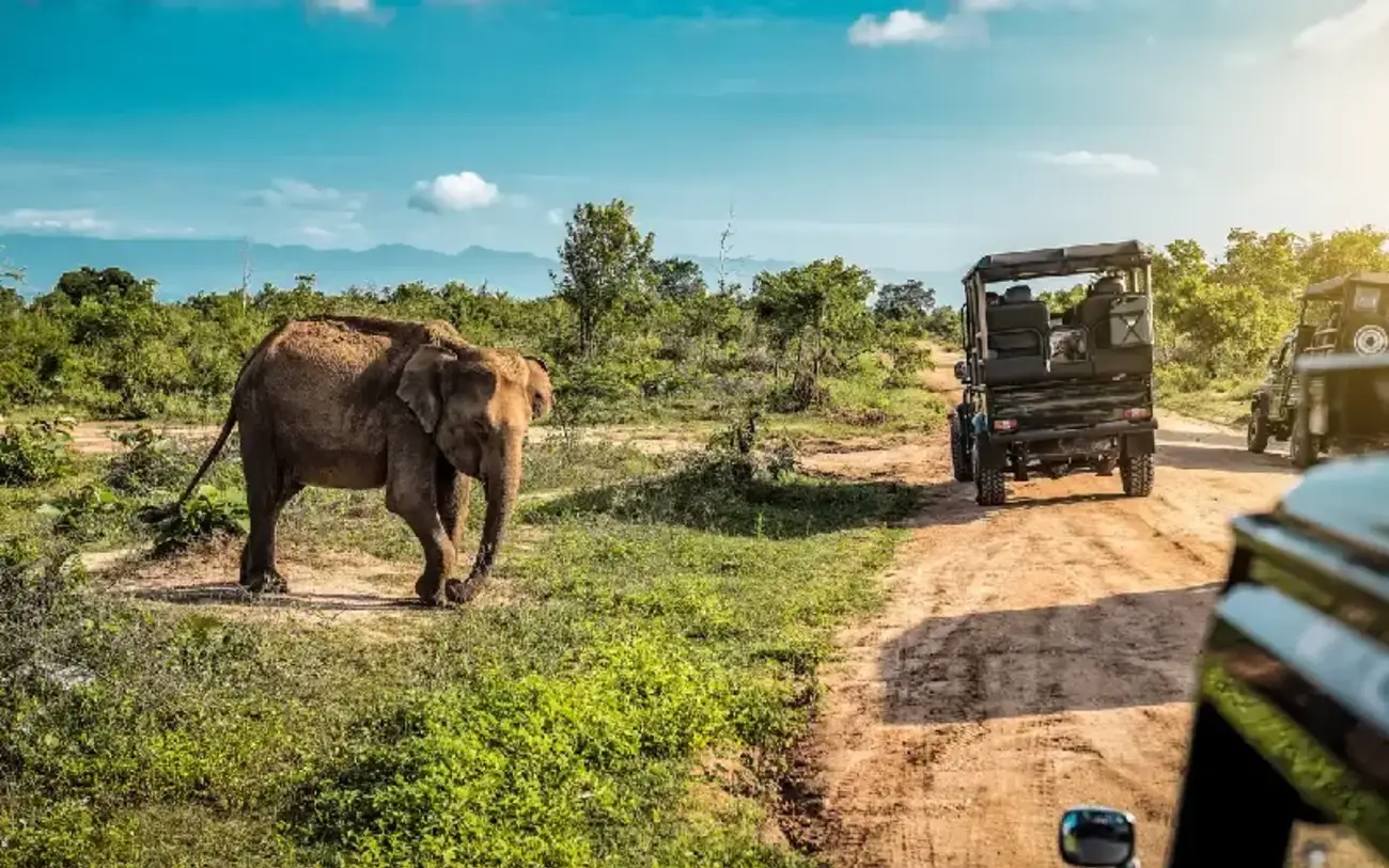 Yala, Sri Lanka: Il Regno della Natura Selvaggia