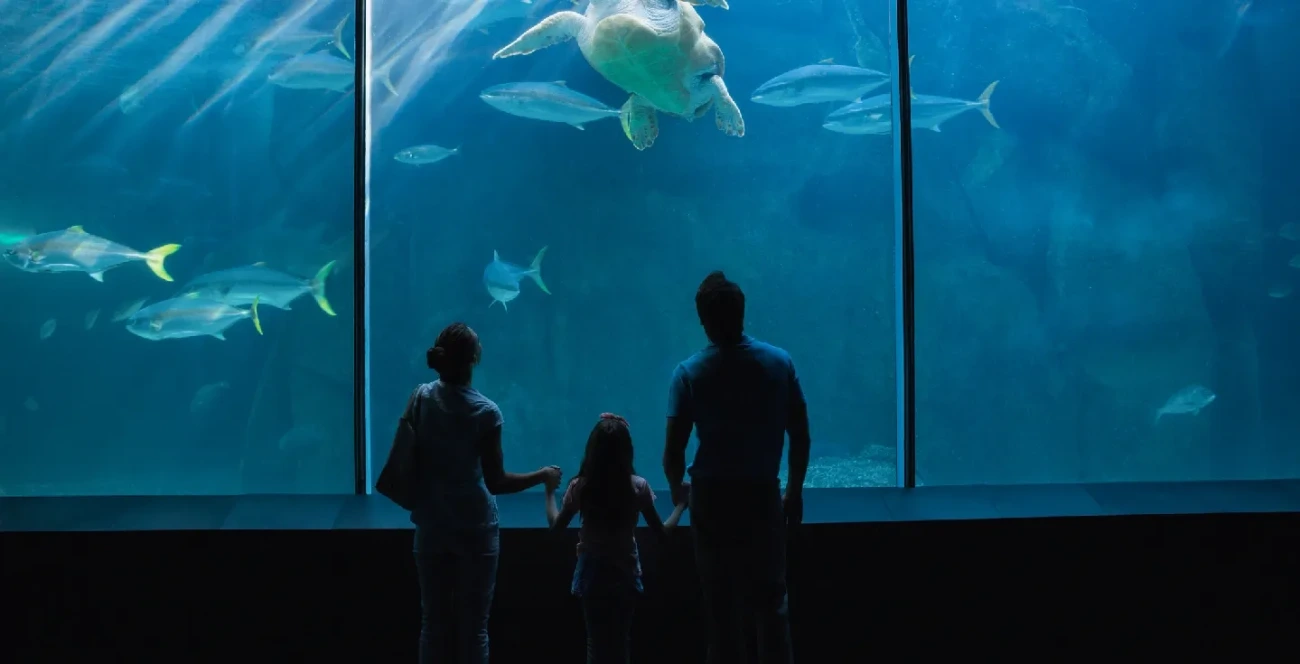 Acuario de Fakieh