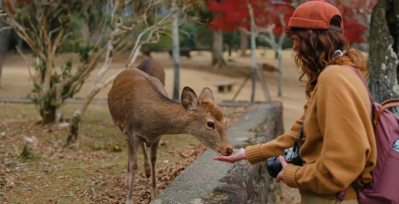 Nara