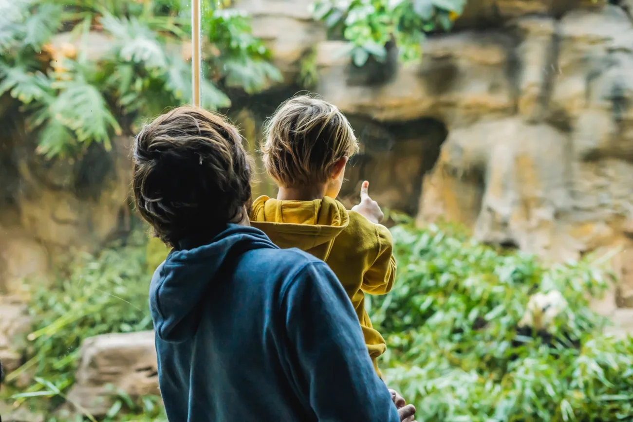 The Green Planet: Descubra Como uma Floresta Tropical Cresce em Pleno Deserto de Dubai