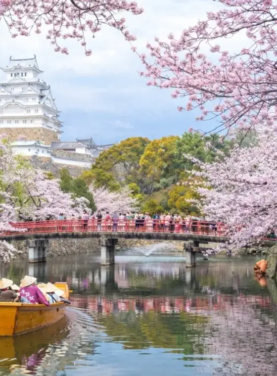 Experience the Soul of Japan