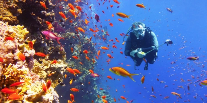 Sharm El Sheikh Tours | Sharm El Sheikh Excursions