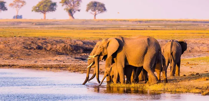 Attractions In Africa