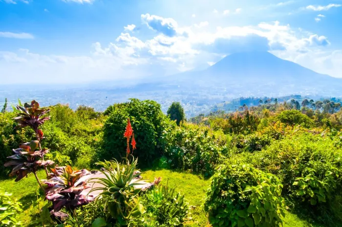 Rwanda Travel Information