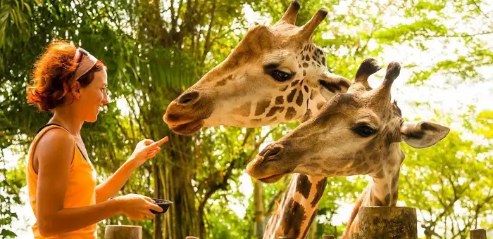 Egypt and Africa Tours | Africa Combined Tours