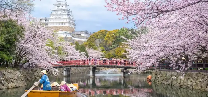 Vive la esencia de Japón