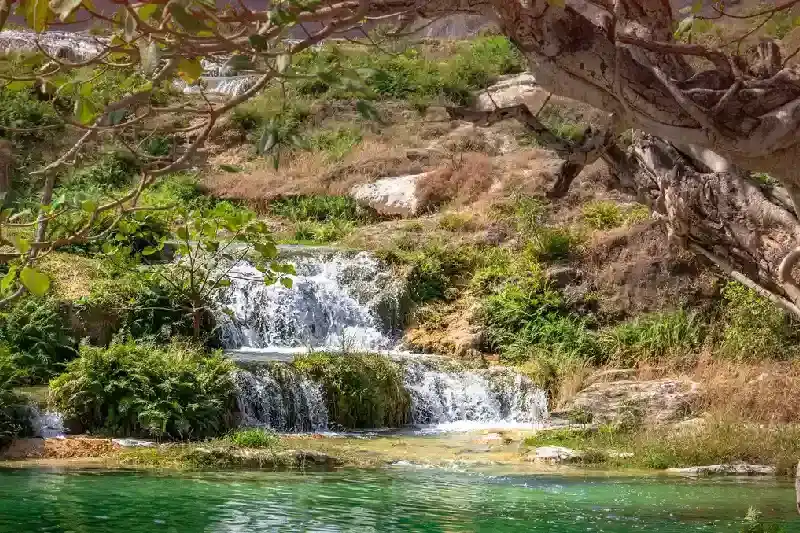 Wahiba Sands, Wahiba Sands