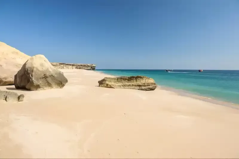 ras al jinz oman, ras al jinz oman