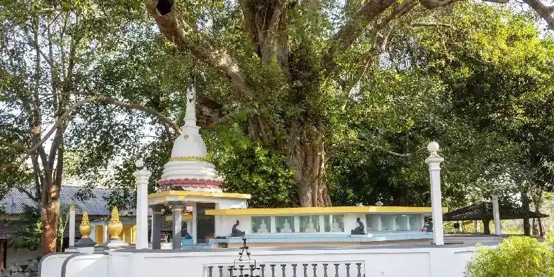 Templo Mahabodhi, Bodh Gaya, Sri Lanka.