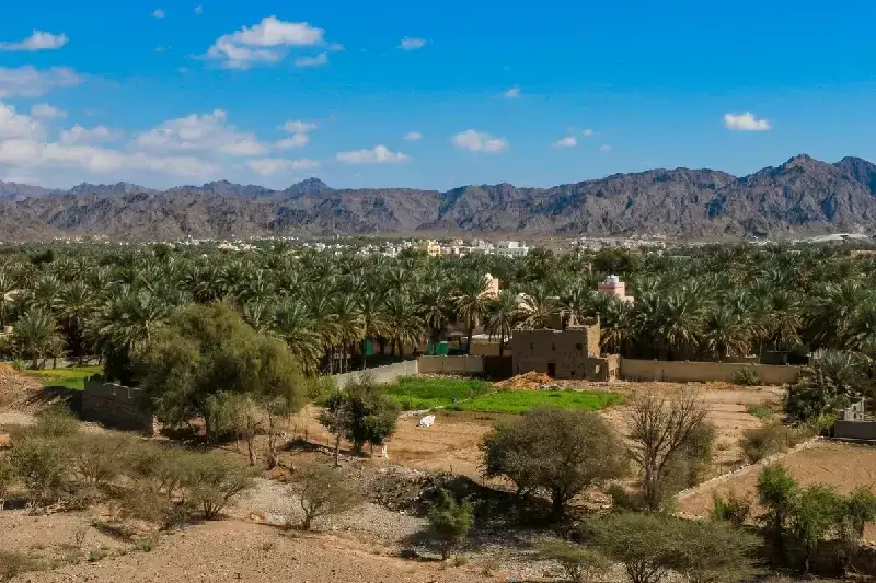 Bait Al Safah