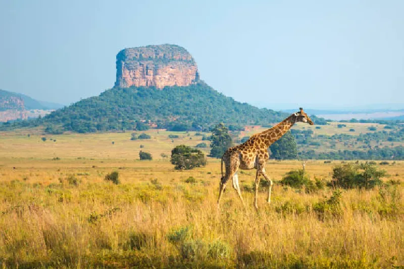 Krüger-Nationalpark, Südafrika