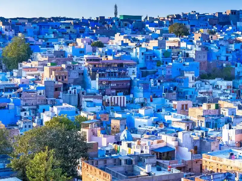 Citta blu india , jodhpur