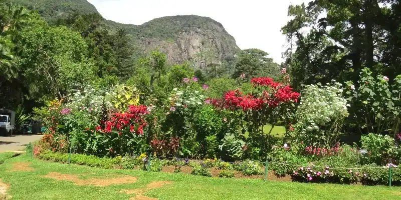 El jardín botánico Hakgala Sri Lanka.