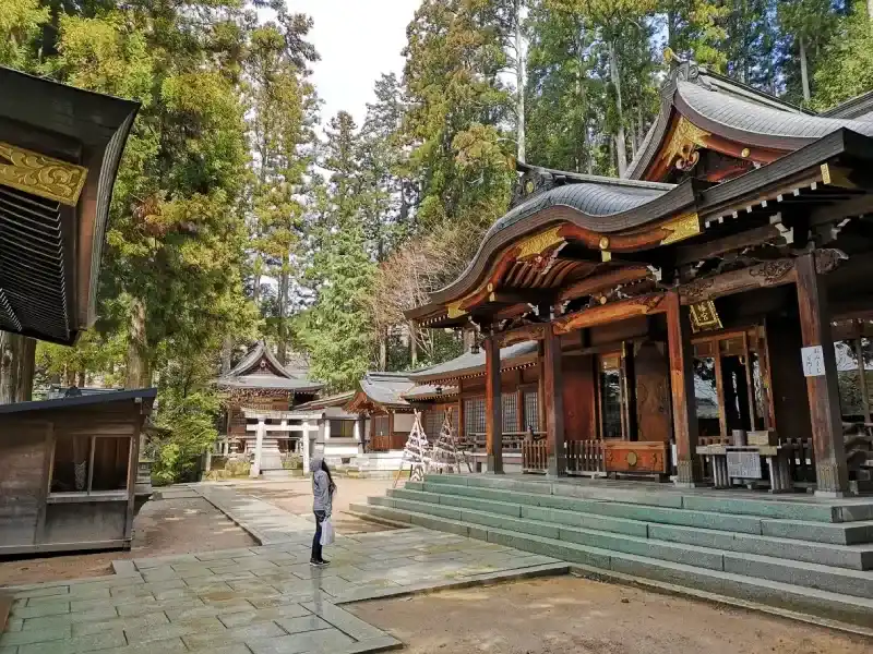 visitante-observando-o-santuario-sakurayama-hachimangu-em-takayama-japao-cercado-por-floresta-de-cedros-em-dia-nublado