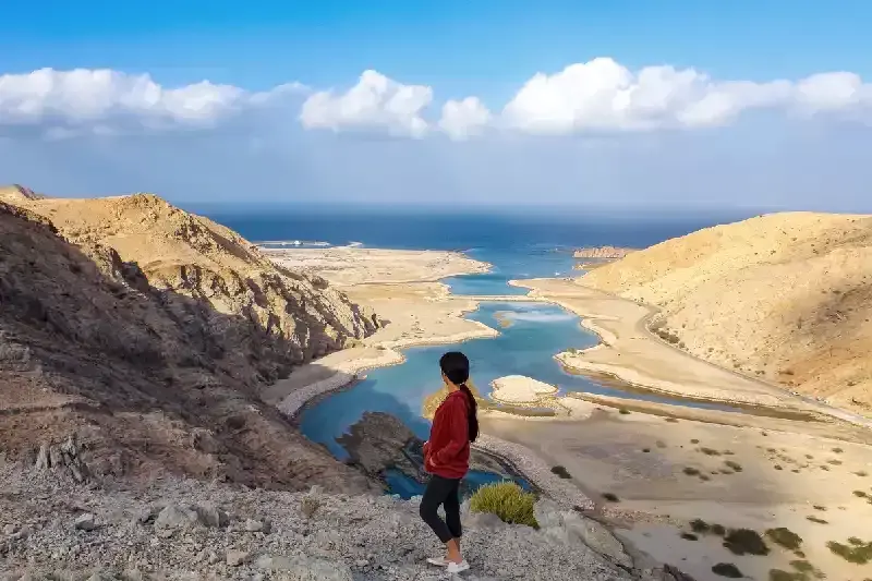 Oman Mare | Mare In Oman