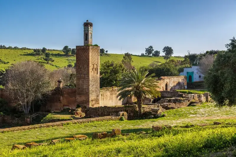  minarete-antigo-com-ninho-de-cegonha-entre-as-ruinas-da-necropole-de-chellah-em-rabat