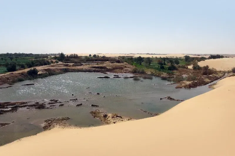 Die Dakhla-Oase in der westlichen Wüste Ägyptens mit Palmenhainen, Feldern und verstreuten Siedlungen.