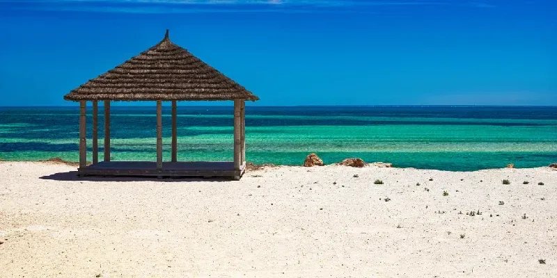 Una hermosa vista de la costa mediterránea con aguas turquesas, una playa de arena blanca y una palmera verde.