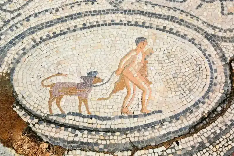 Twelfth Labour of Hercules, mosaic in Volubilis, Morocco