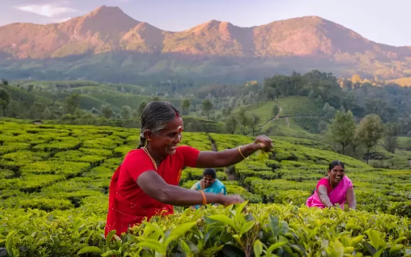 Consigli Per Viaggio in India