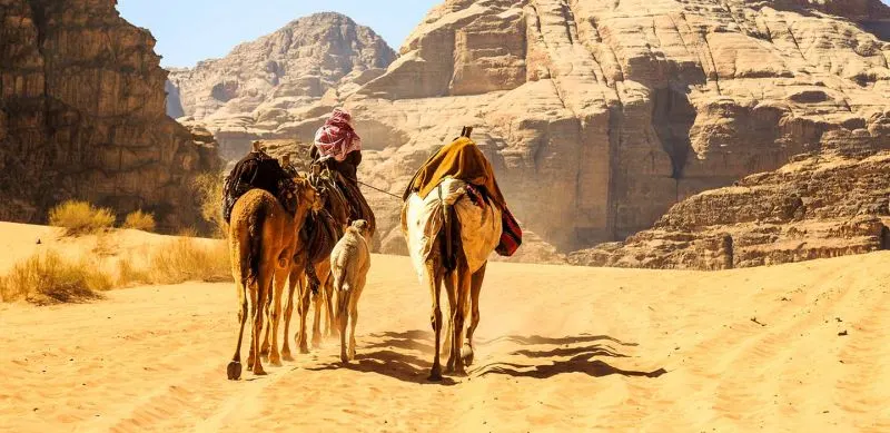 cose da vedere in giordania