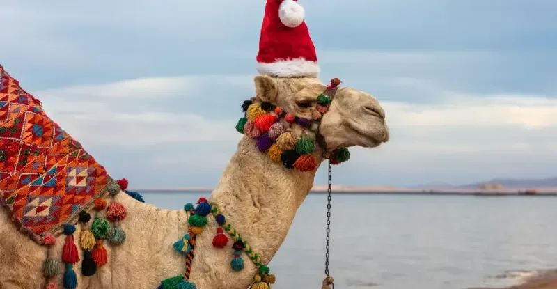 Tudo sobre o Fim de Ano no Egito