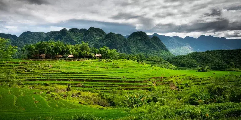 Campos de arroz de Pu Luong, Mai Chau, Vietnam