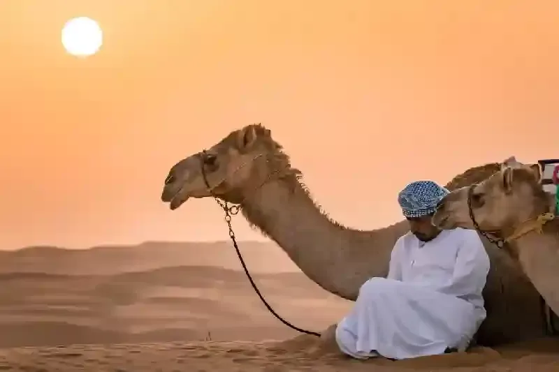 wahiba sands, wahiba sands