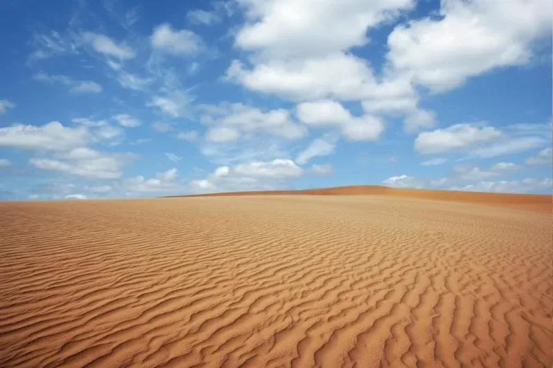 Weite Sanddünen in der Wüste mit feinen Strukturen und warmem Licht