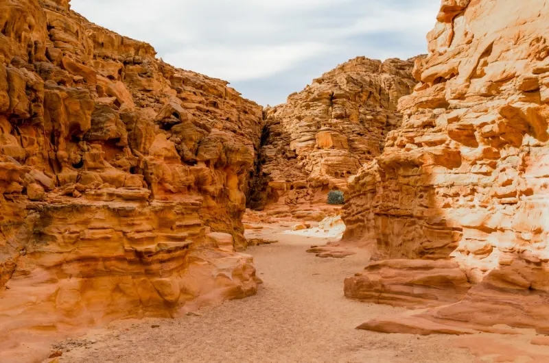 2-Day Sinai Desert Adventure