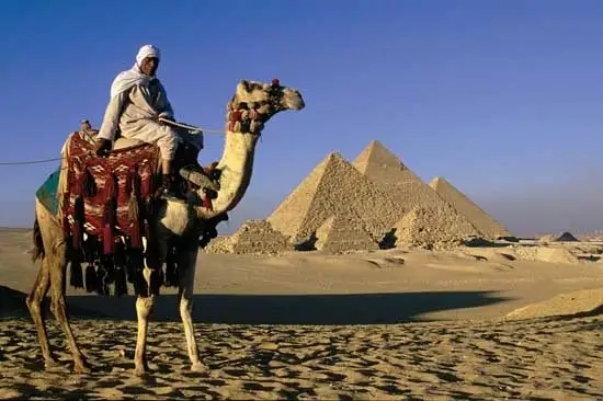 Camel Ride around the Pyramids