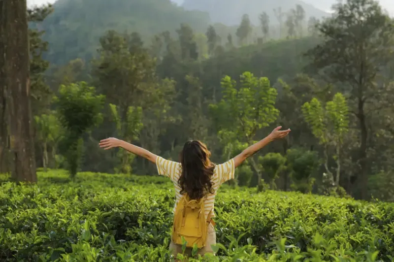 Woman exploring a tea plantation in Ella