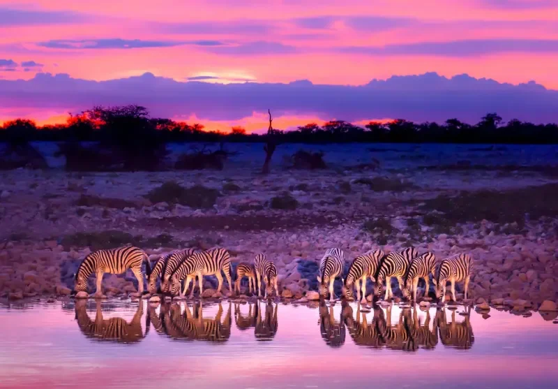 Namibia Self Drive Tour