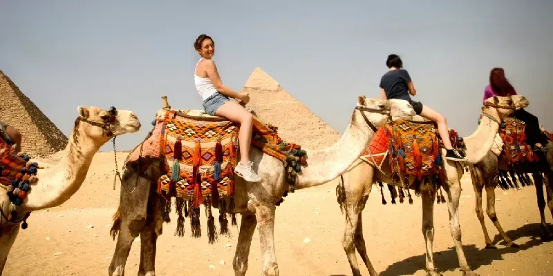 Safari en las Pirámides de Giza