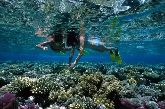 Snorkeling À L’île De Mahmya