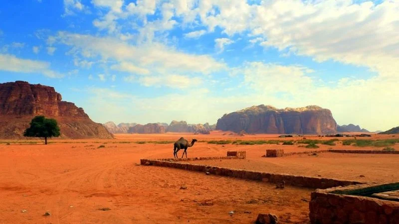 Wadi Rum Desert Wadi Rum Desert