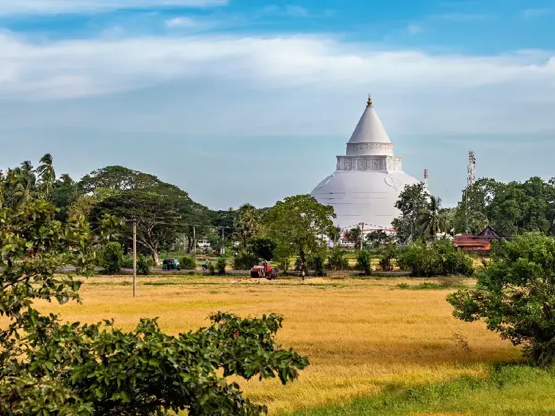 Tour Sri Lanka 12 Dias