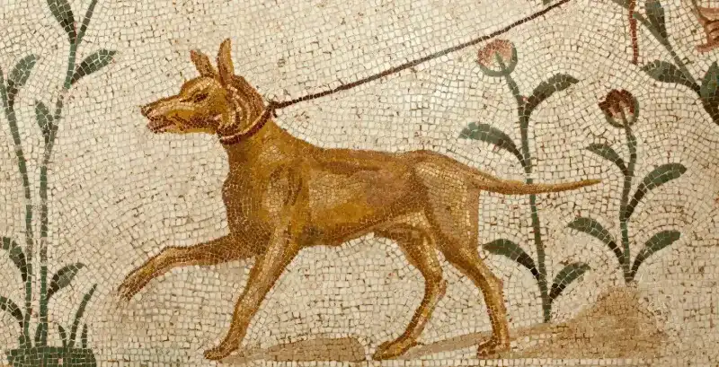 Museo del Bardo