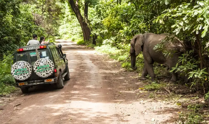 The Real World Tanzania Experience