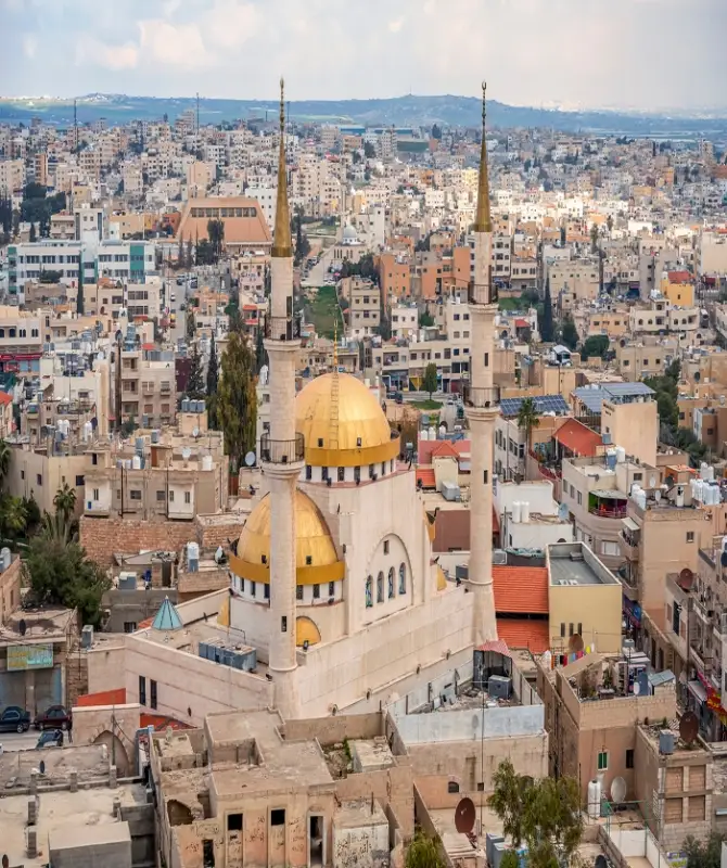 Day Trip to Madaba, Nebo and Dead Sea from Amman