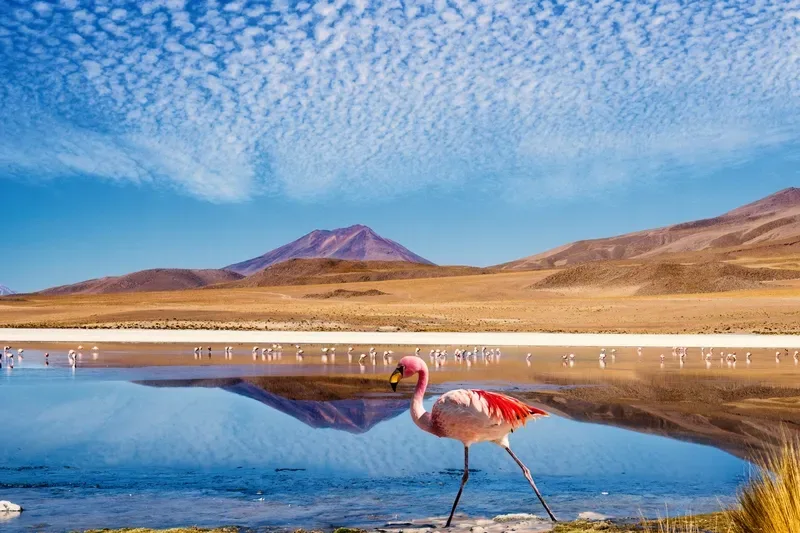 Peru and Bolivia Enigmas: Machu Picchu, Titicaca & Uyuni