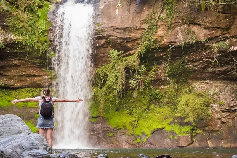 Highlights of Brazil Tour: Rio de Janeiro, Iguassu Falls & the Amazon