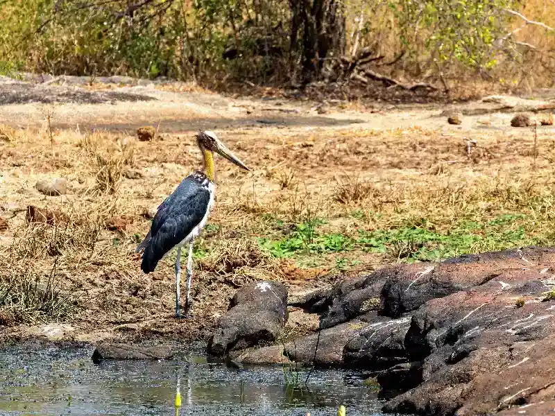 Tour Sri Lanka 12 Dias